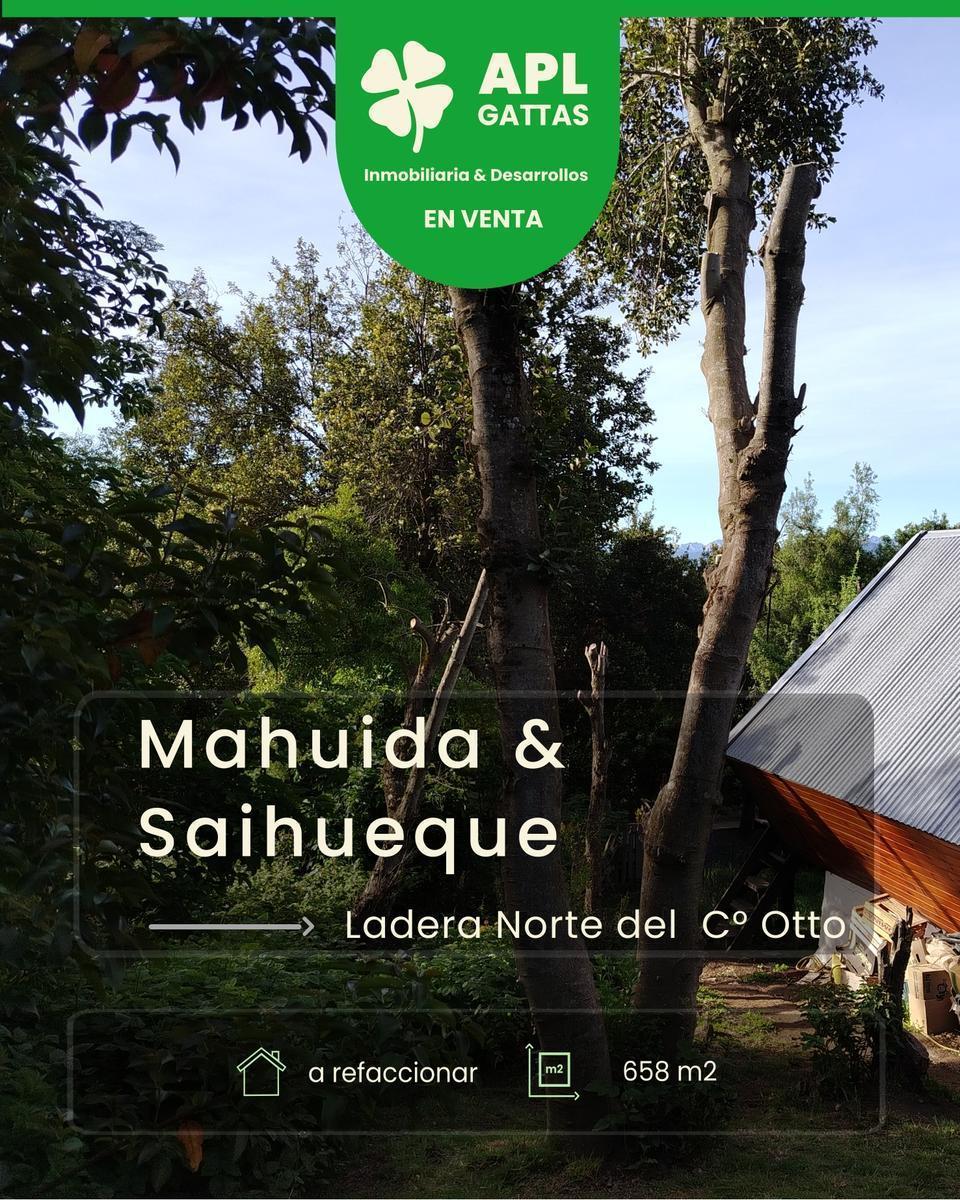 Mahuida 100