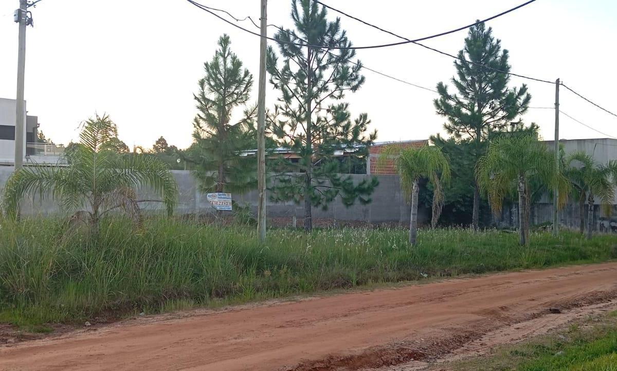 Mons. de Andrea y Los Talas, Concordia, Entre Rios, Concordia, Entre Ríos