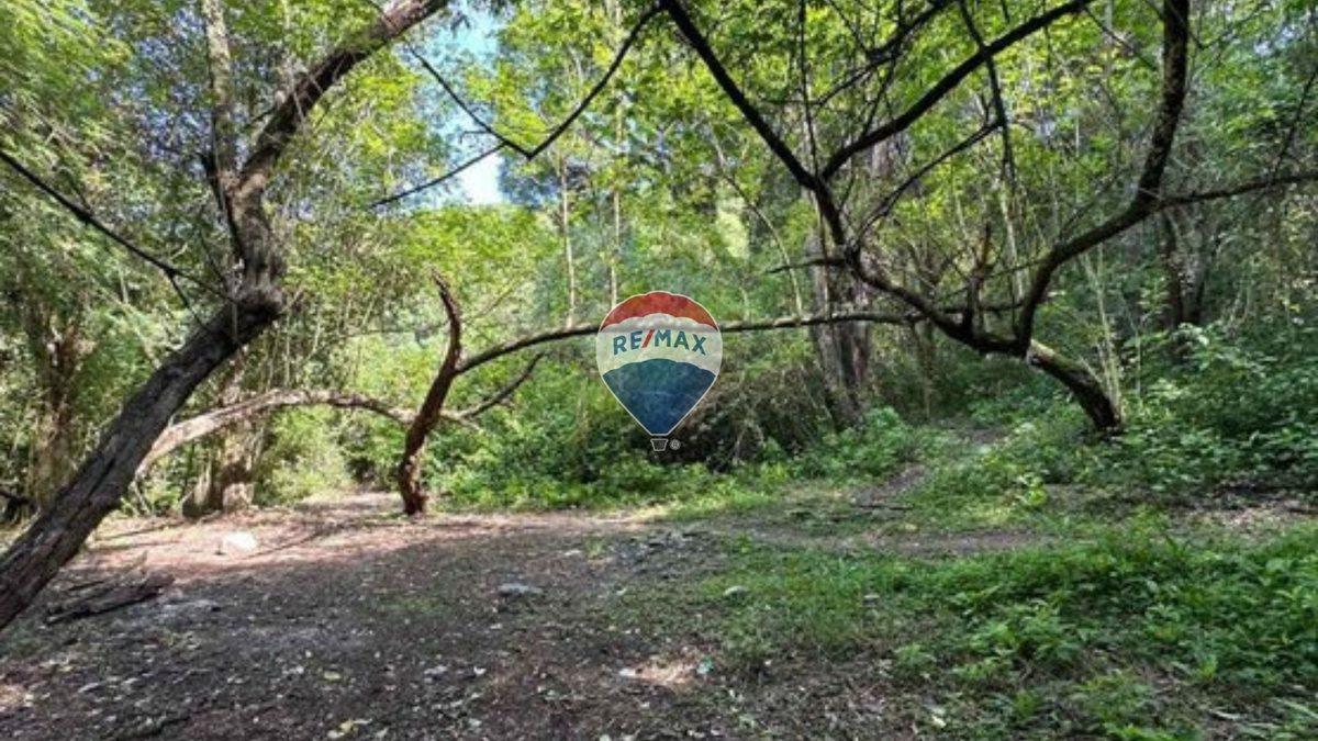 Las Madreselvas 800, San Salvador de Jujuy, Jujuy