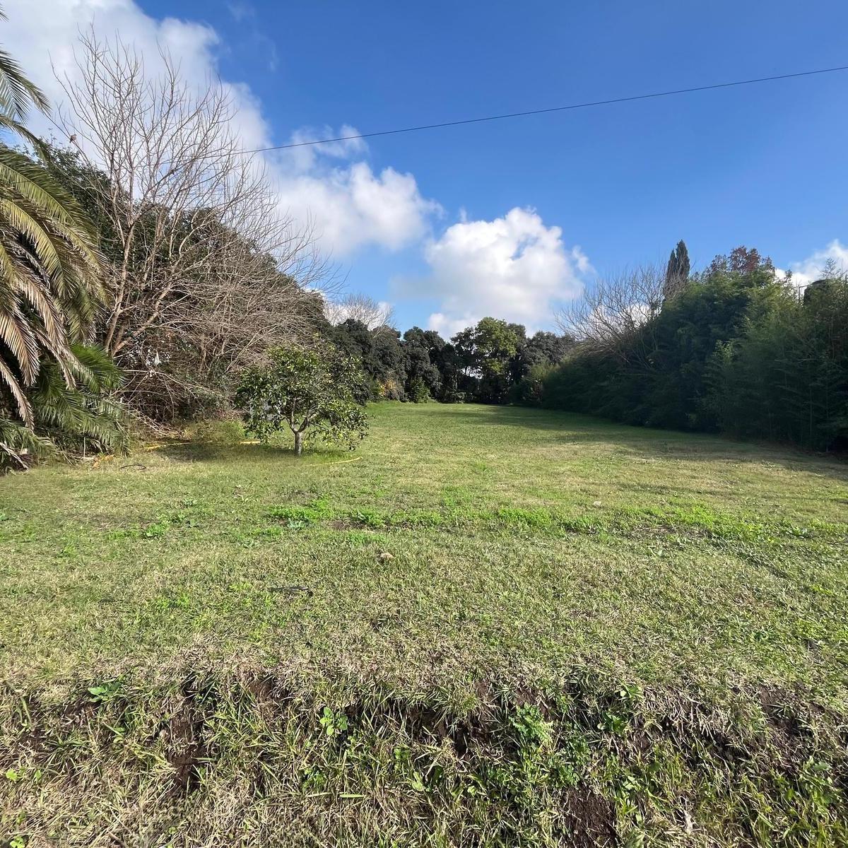 Lote de Terreno en Venta- Santa Maria Esquina Las Margaritas, Barrio Los Morros, Funes, Funes, Santa Fe