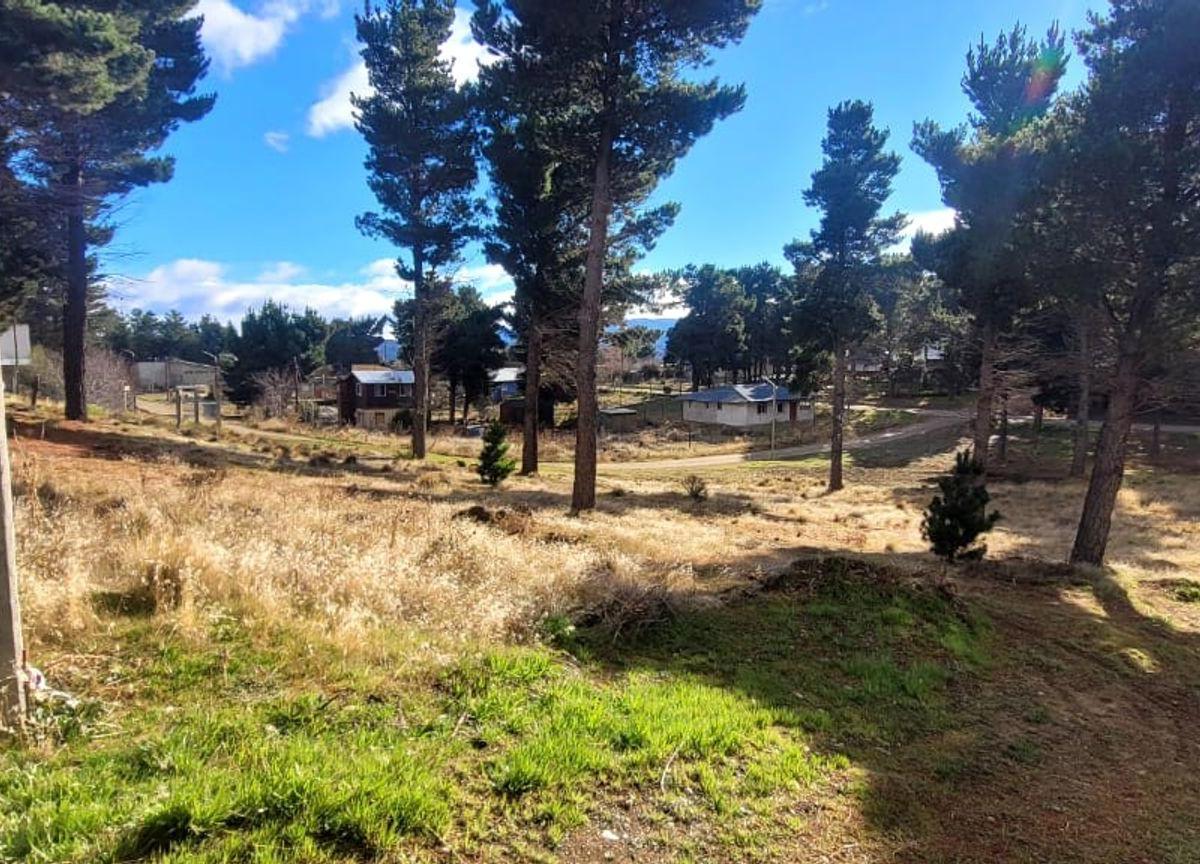 Los Nogales 700,  Dina Huapi, Río Negro