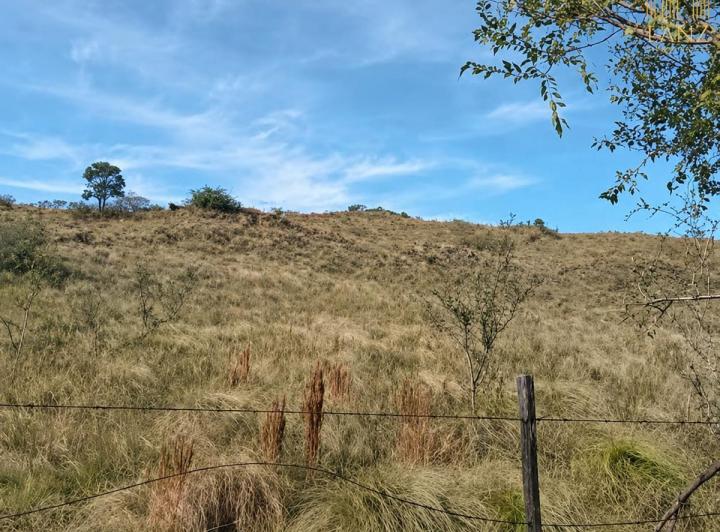 Terreno · 19308m²
