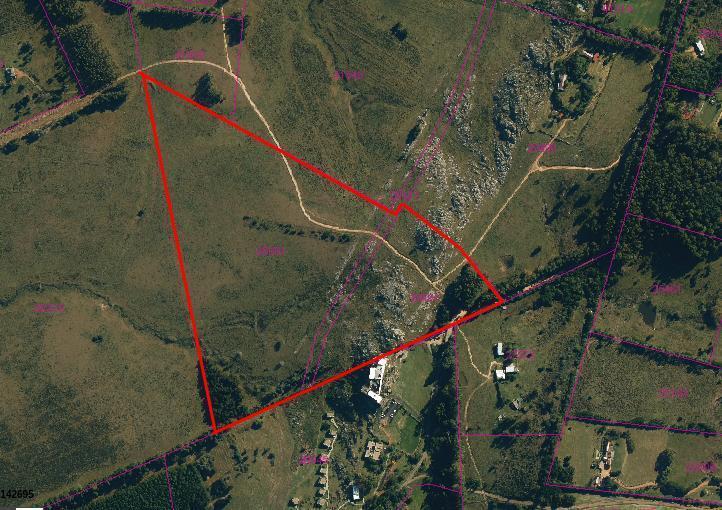 19.9 Hectáreas - Chacra en Venta - Camino Egusquiza, La Barra, Maldonado