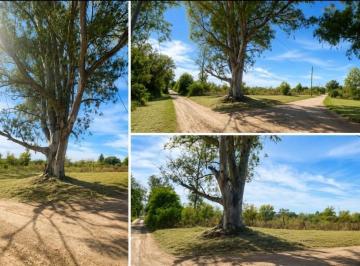 Terreno · 7500m² · Terreno Lote en Venta en General Arenales, Córdoba