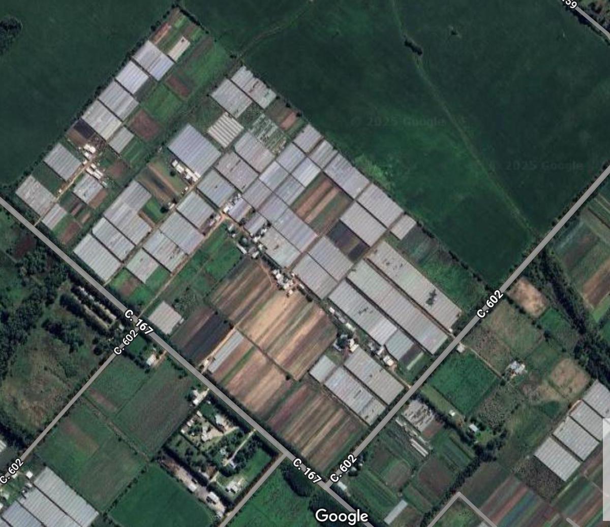 602 y 167, La Plata, La Plata