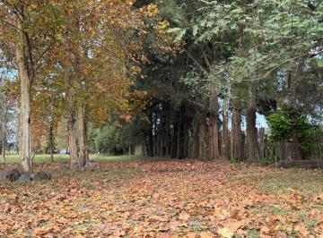 Campo · 35000m² · Campo en Venta con Salon de Eventos