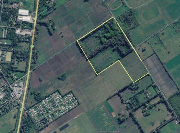 Campo , Pilar · Oportinidad! Campo en Pilar 21,87 Ha Ideal Polo o Desarrollo 8,2 Usd/m²
