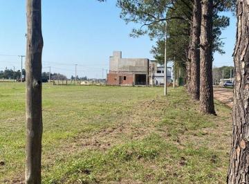 Terreno · 600m² · Venta Terreno Los Molinos 600 m²