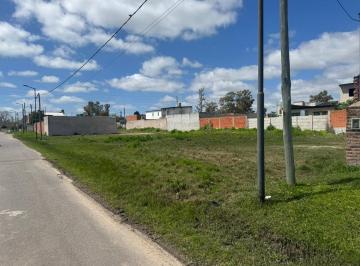 Terreno · 300m² · Lote en Ricardo Rojas Barrio Abierto Sin Expensas