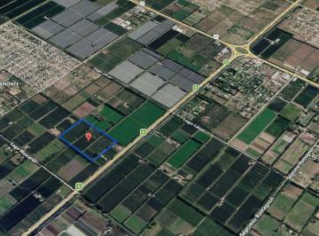 Campo · 9ha · Venta Chacra 9,31 Hectáreas, en Producción, Variedad de Peras.