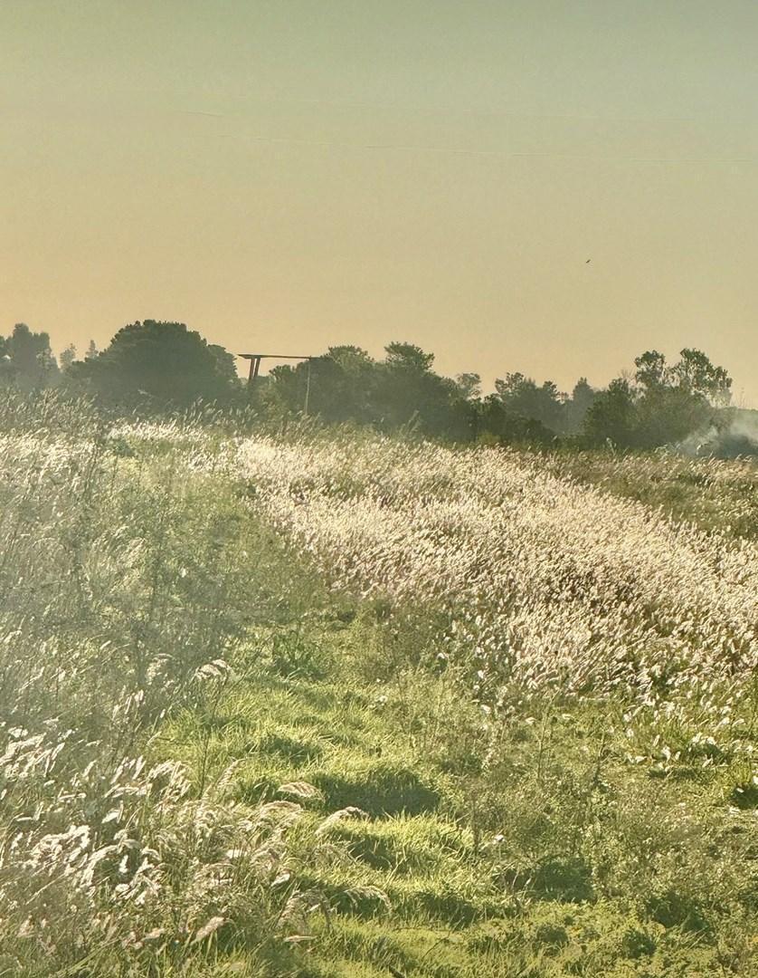 Vivot y Labarden, Tandil, Buenos Aires (fuera de GBA)