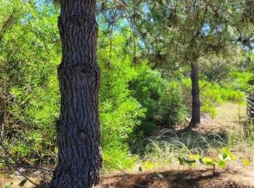 Terreno · 1000m² · Venta Lote Costa Esmeralda Fondo Libre Oportunidad