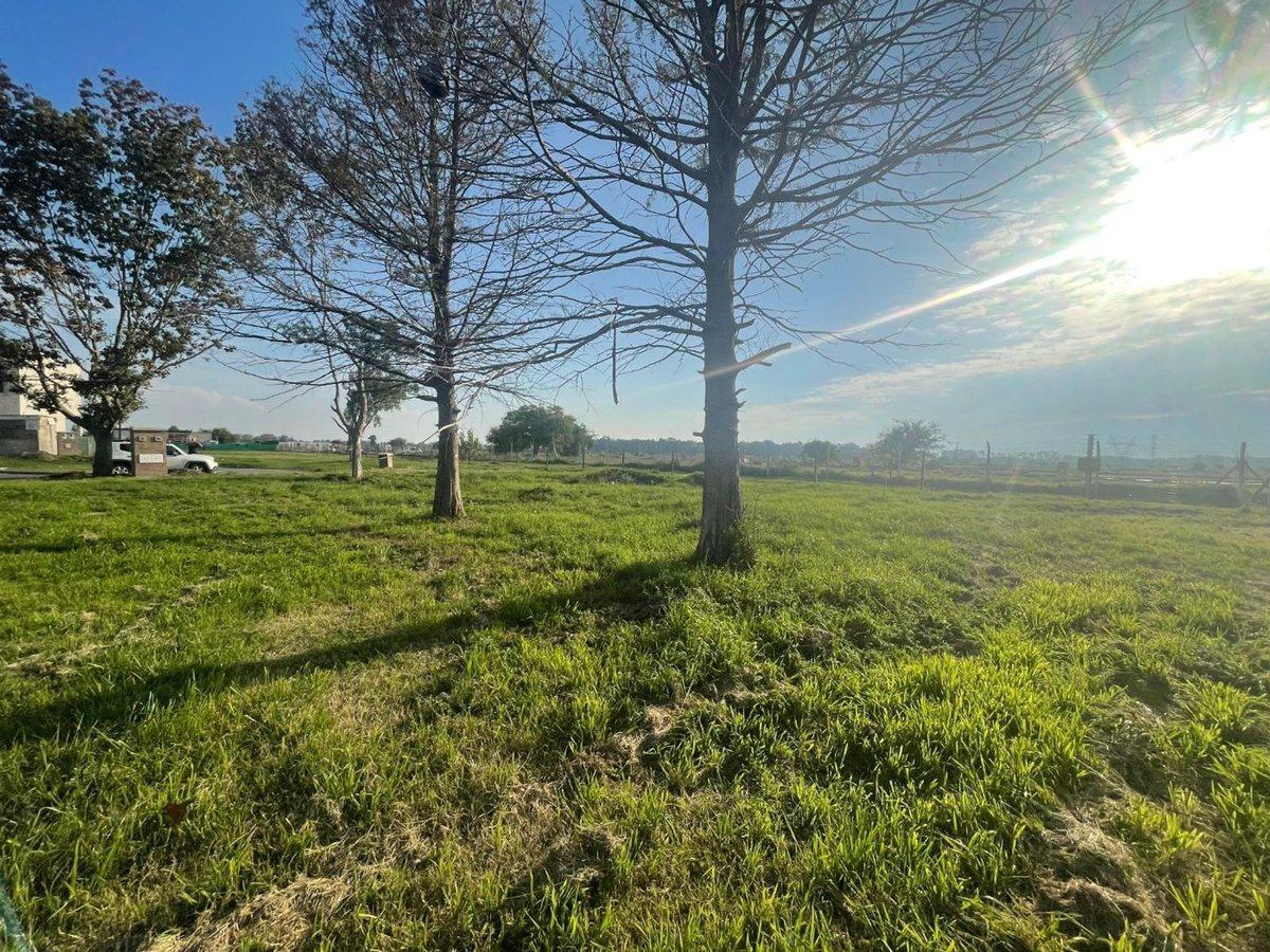 Calle el Deslinde 1100, Tristán Suárez, Ezeiza