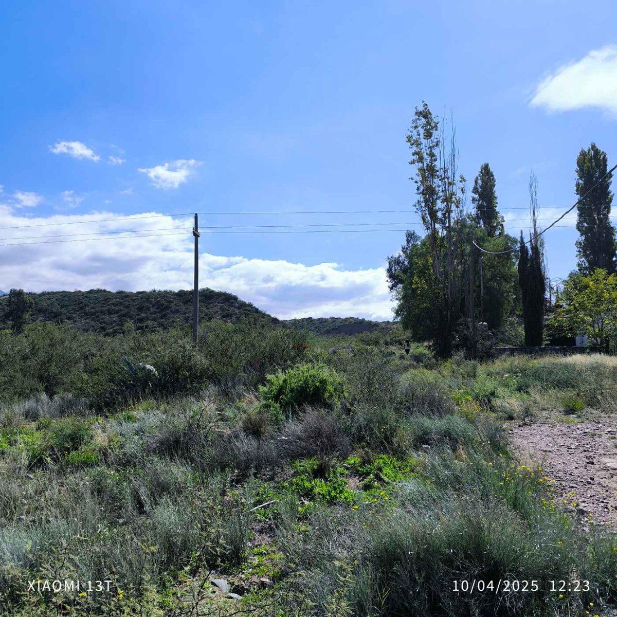 Ruta Panamericana S/N, Luján de Cuyo, Mendoza