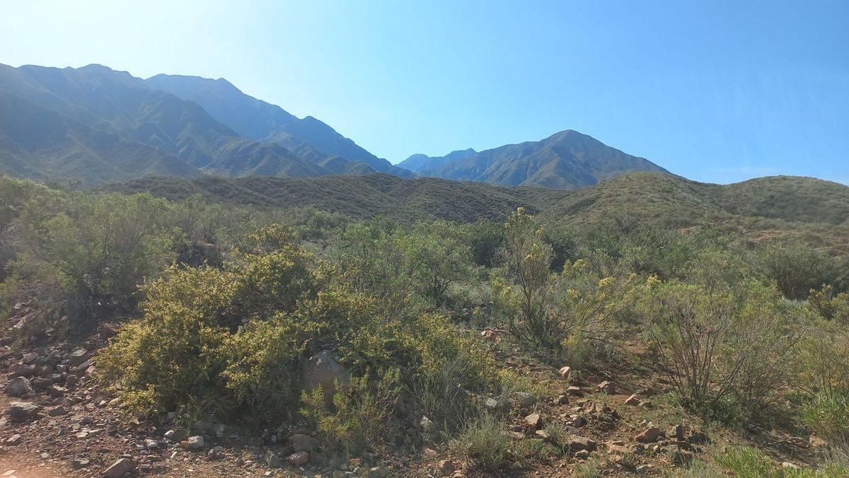 Ruta Panamericana S/N, Las Compuertas, Mendoza