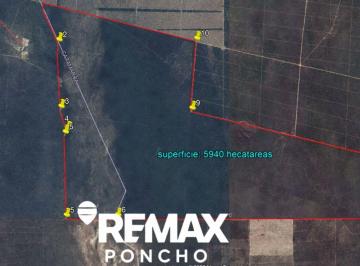 Campo · 594000ha · Se Vendecampo Oportunidad 5.940ha La Paz Catamarca
