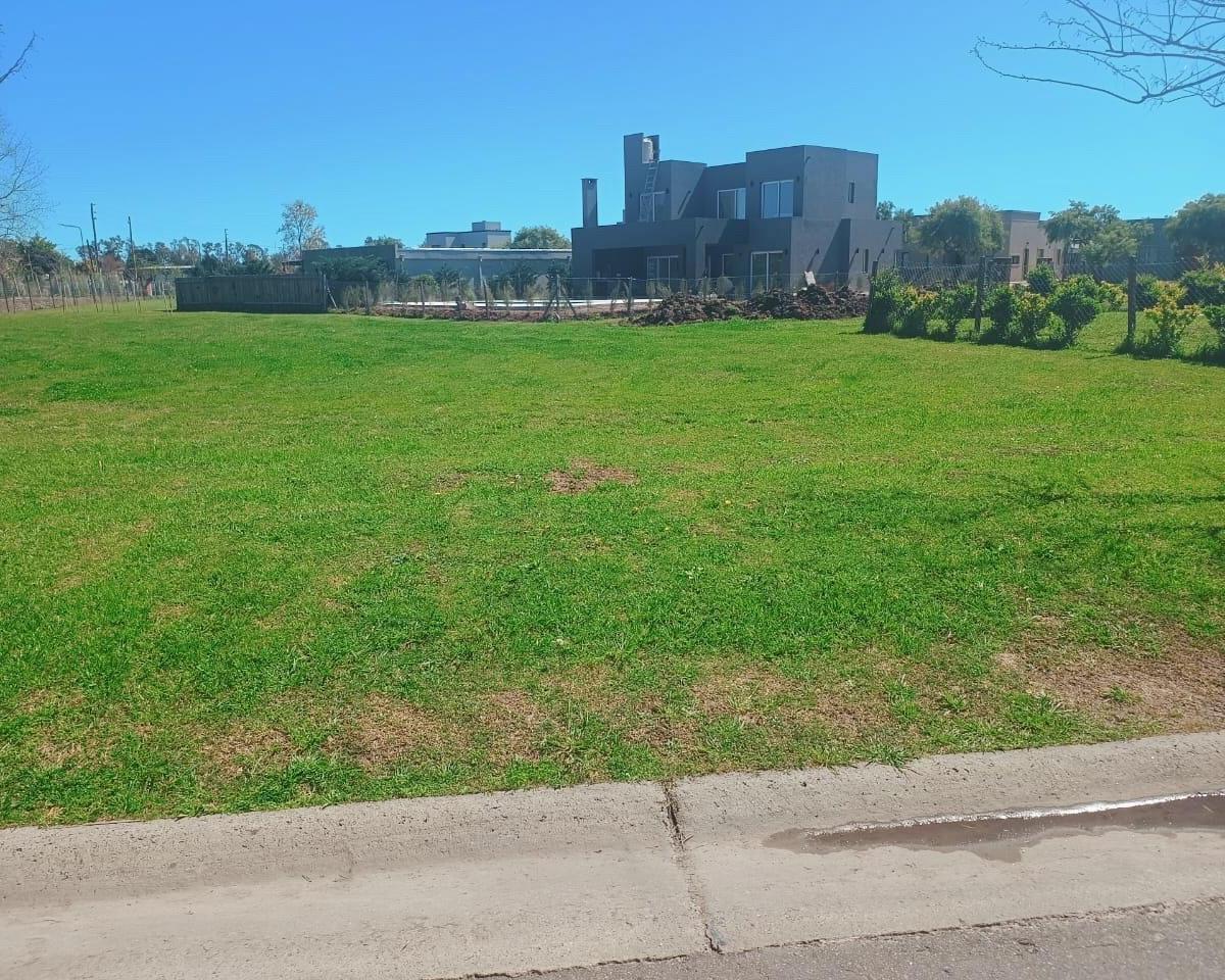 Terreno Lote Interno Venta Pilar del Este Barrio Santa Emilia,  Santa Emilia, Zelaya