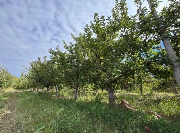 Campo · 250000ha · Chacra en Venta San Patricio del Chañar