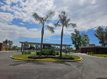 Terreno · 505m² · Terreno Lote en Venta en Santa Sofía, Pilar del Este, Pilar - Financiacion 50%