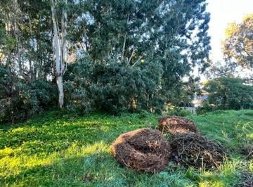 Terreno , Pinamar · Lote en Altura, Ubicado en Esquina. Servicios: Agua Corriente, Luz, Gas, Internet. Zona Residencial.