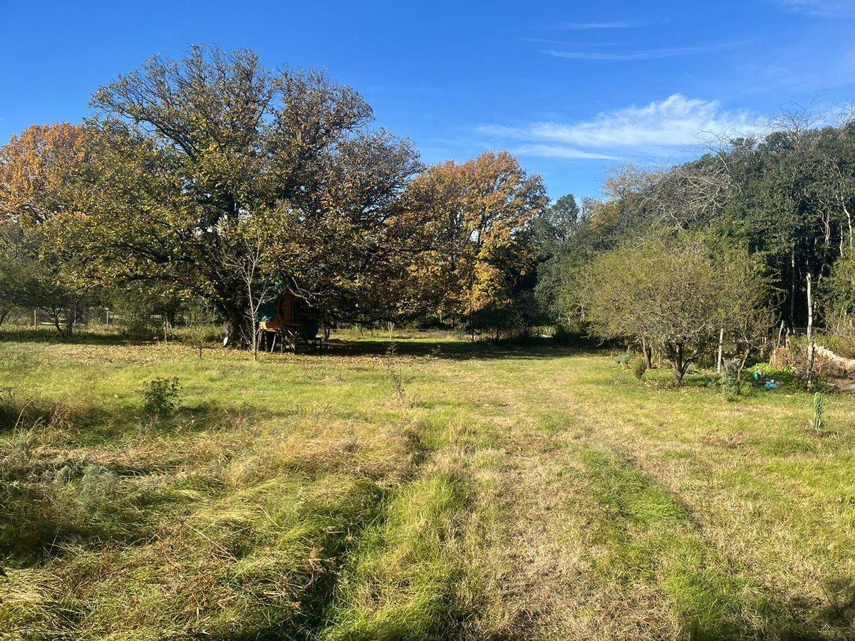 Los Aceres S/N, La Granja, Córdoba