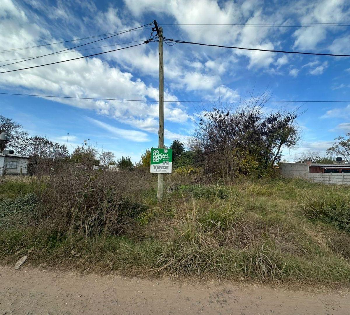 Avenida Las Americas, General Rodríguez, GBA Oeste