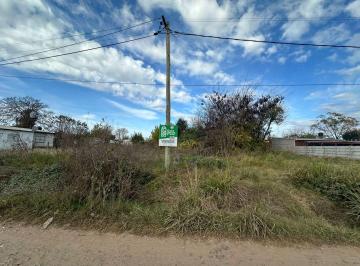 LGP-LGP-435_2 · Lote. | Av Las Americas