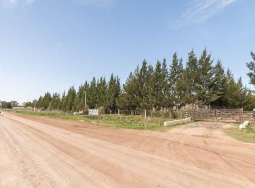 Quinta vacacional · 36m² · 1 Dormitorio · 5 Cocheras · Casa Quinta C/pileta, Canchita y Juegos - Cañuelas