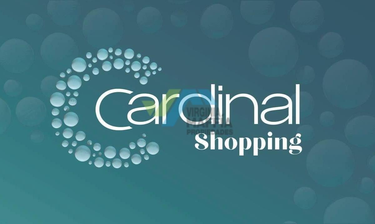 CARDINAL SHOPPING LOCAL 100, Pilar del Este, Zelaya