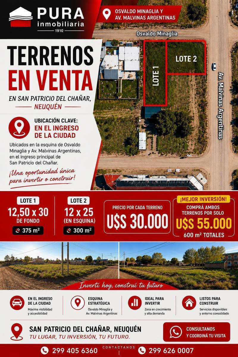 Osvaldo Minaglia y Av. Malvinas Argentinas, Añelo, Neuquén