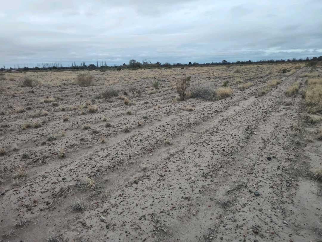 Carril Centro, Alto Verde Junin, Junín, Mendoza