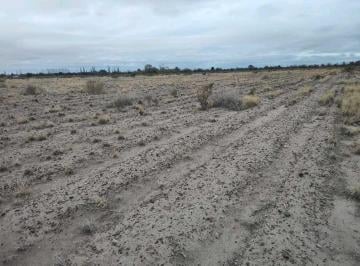 Campo · 210000ha · Venta de Finca 21 Has en Alto Verde - Junin, Mza.