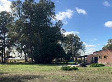 Campo , Saladillo · Chacra 17 Hs con Casa en Saladillo