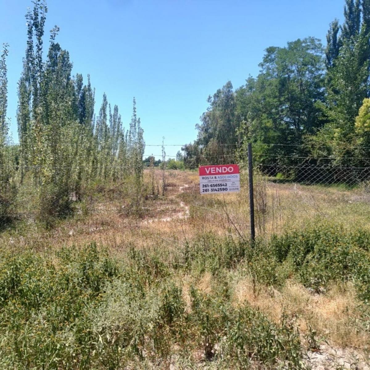 Azcuénaga 2317, Lunlunta, Mendoza