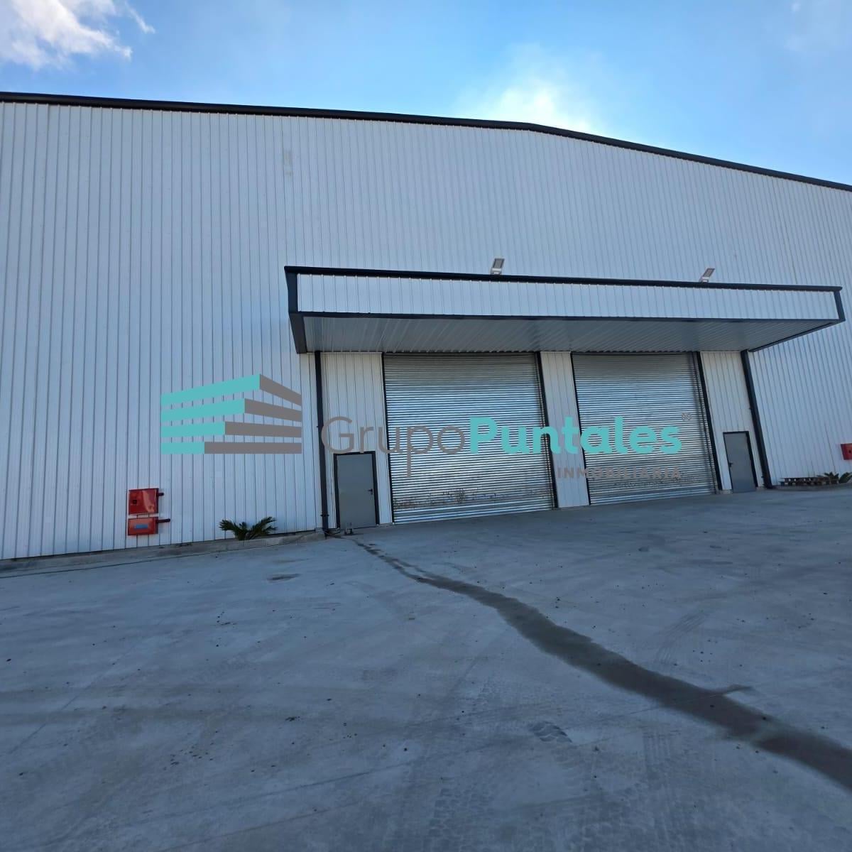 San Salvador de Jujuy al 1300, Carlos Spegazzini, Ezeiza