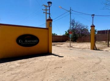 Terreno , El Zapallar · Venta de Lote – Complejo “el Amparo” – Las Heras