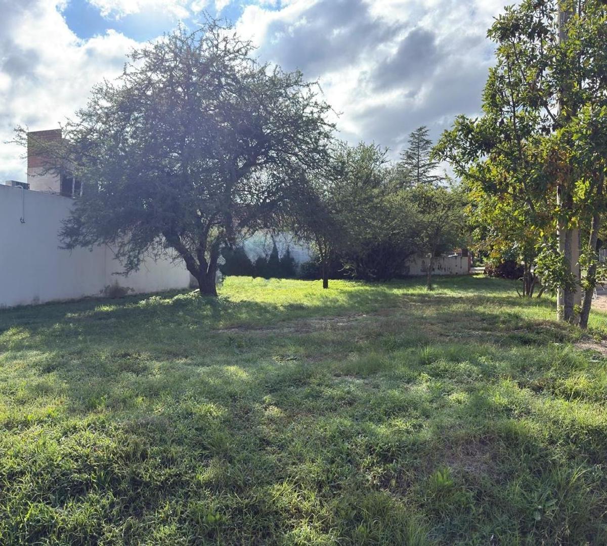 Los Tilos, Mina Clavero, Córdoba