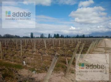 Campo · 174000ha · Finca Ideal Para Desarrollo en Venta en Calle Vieytes, a m de Ruta 60