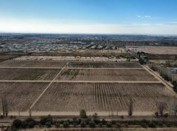 Campo · 17ha · Finca Ideal Para Desarrollo en Venta en Calle Vieytes, a m de Ruta 60