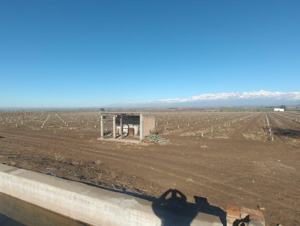 Zapata, Tupungato, Mendoza