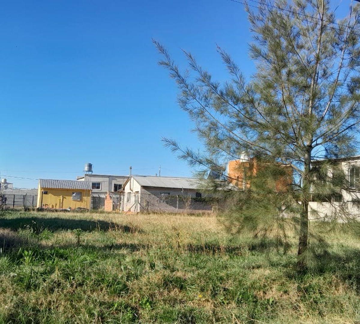 Tucumán 700,  Cañuelas, Cañuelas