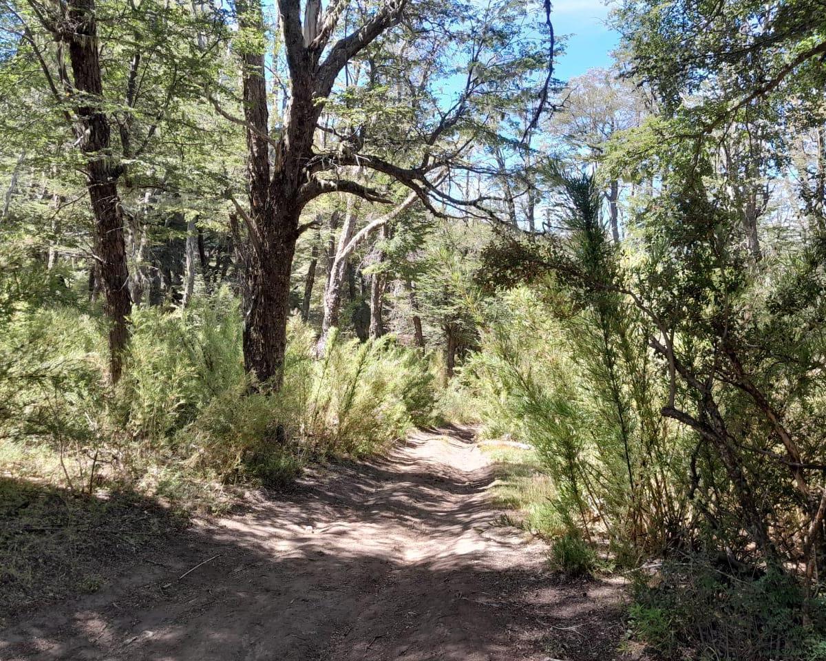 Lote en Venta en Barrio Altos del Kaeluche - San Martin De Los Andes -, San Martín de los Andes, Neuquén