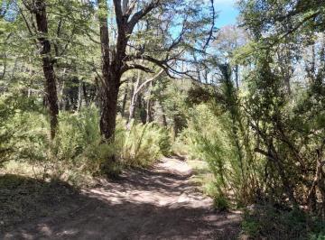 Terreno · 603m² · Lote en Venta en Barrio Altos del Kaeluche - San Martin de Los Andes - Lote 3