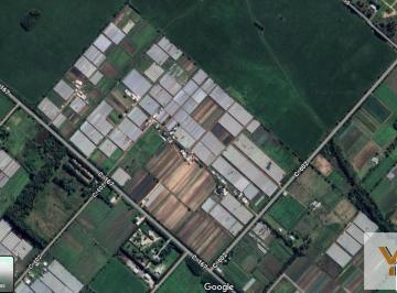 Campo · 500000m² · Campo en Venta - - m - La Plata
