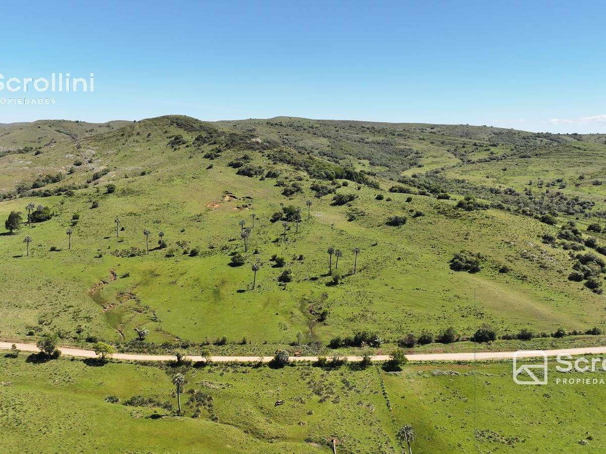 Chacra a la Venta Rocha Km 235 Ruta 9, Castillos, Rocha