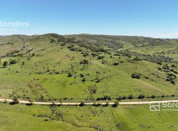 Campo · 1120000ha · Campo en Castillos