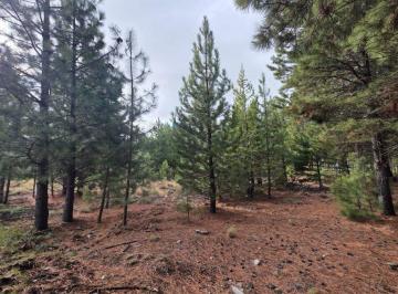 Terreno · 919m² · Lote en Bariloche Barrio Cerrado Dos Valles