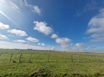 Campo · 60000m² · Campo en Venta en Cañuelas 6 Ha