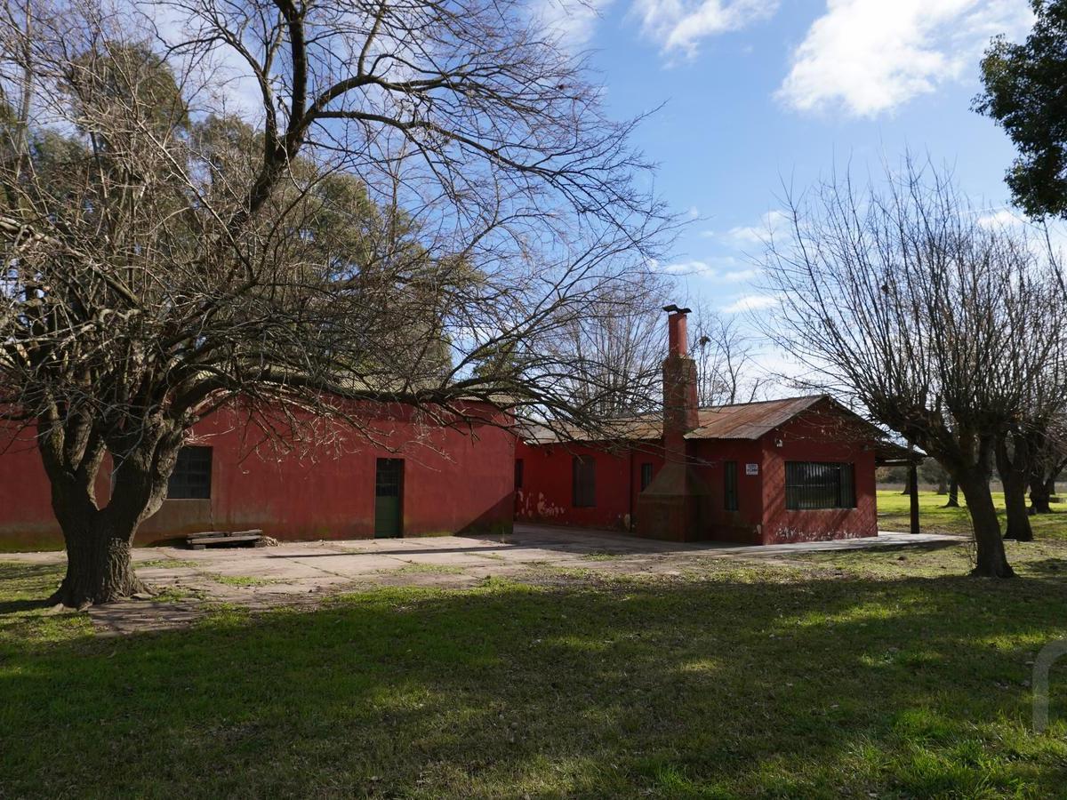 San Miguel del Monte, Provincia de Buenos Aires,  San Miguel del Monte, San Miguel del Monte