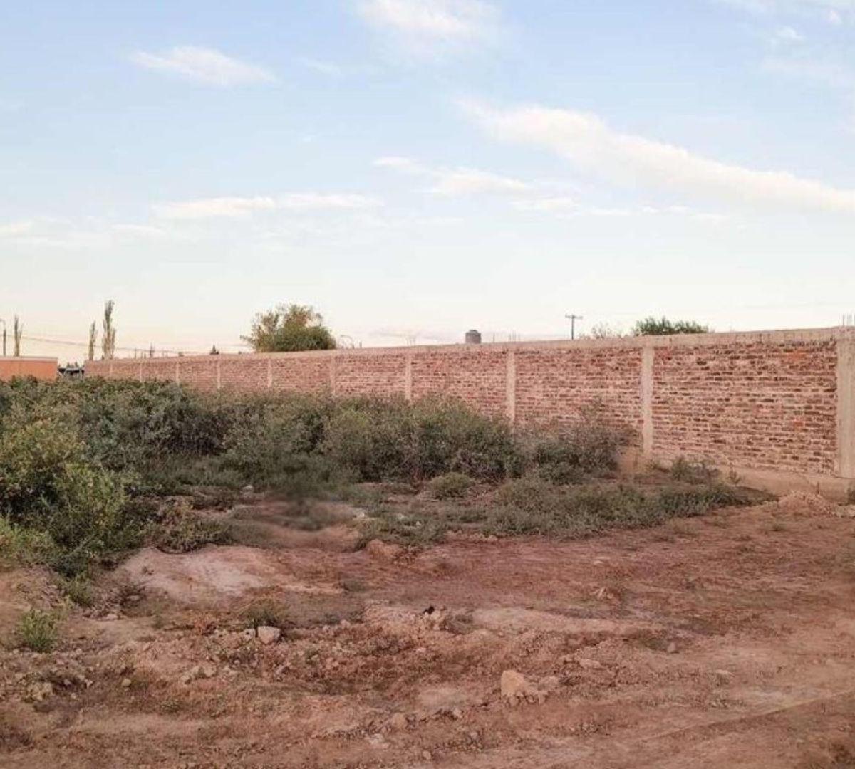 S/n S/N,  Rodeo del Medio, Mendoza